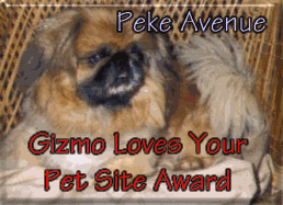 Gizmo Buddy Award