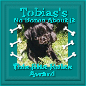 Toby's No Bones About it Award
